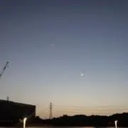 恐竜の画像