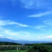 YTの画像