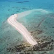 ポンデリングの画像