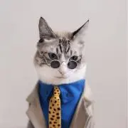あーちゃんの画像