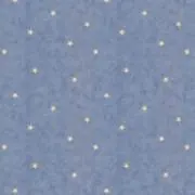 aaの画像