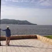 ぽんの画像