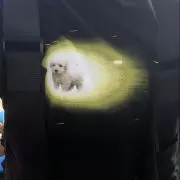 アキセ