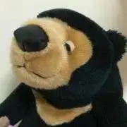 mikiの画像