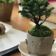 カイの画像