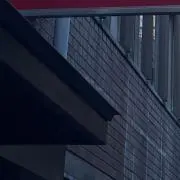 mafyの画像