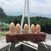 あいらいろ