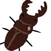 くわがたの画像