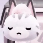 8/8(土)発送予定の画像