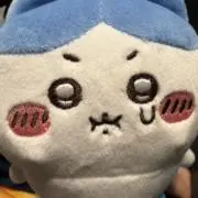 こんちやんの画像