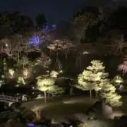 きのの画像