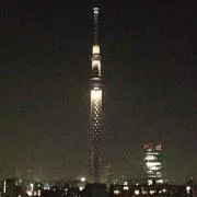 うさぎfactory٩(๑❛ᴗ❛๑)۶の画像