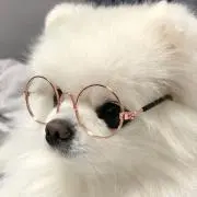 きま【まとめ買いでお値引⭕️】の画像