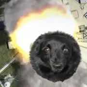 Chikzyの画像