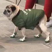 ミシマッコリ