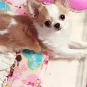chiaki1230jpの画像