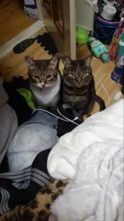 ★七色の虹★同梱他購入前にコメント下さいの画像
