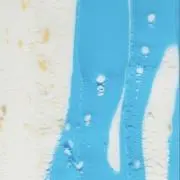 こにまつの画像
