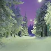 AFOCの画像