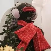 めーこ