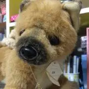 マリ＊プロフ必読