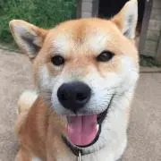りかぴい