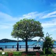 satoo【プロフもお読みください】の画像