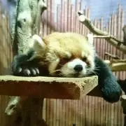 まなみん☆