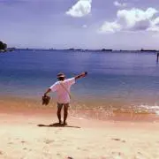 piraの画像