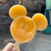 ぴぴの画像