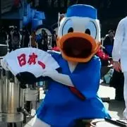 おはな*プロフ必ずお読み下さい。の画像