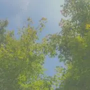 雨の画像