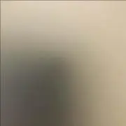 ホワットの画像