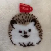キャンの画像