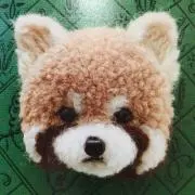 ラピの画像