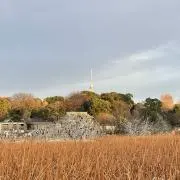 shの画像