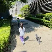 値下げは希望額のご提示おねがいしますの画像