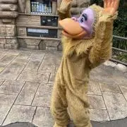 こにゃにゃSHOPの画像