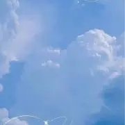 ねこの画像