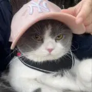 maruoの画像