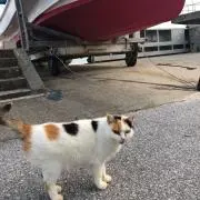 ERIの画像