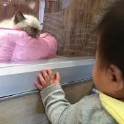 れみん