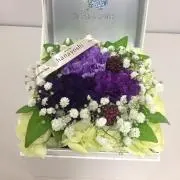 NAPすけ