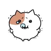 ゆきの画像