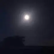 すーの画像