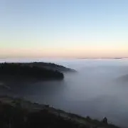 MOTI  MOTIの画像