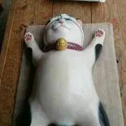 くわとろはっぴー