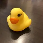 もりこの画像