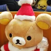 キャスポの画像