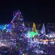 こんぺいとう★購入プロフ読んでくださいの画像